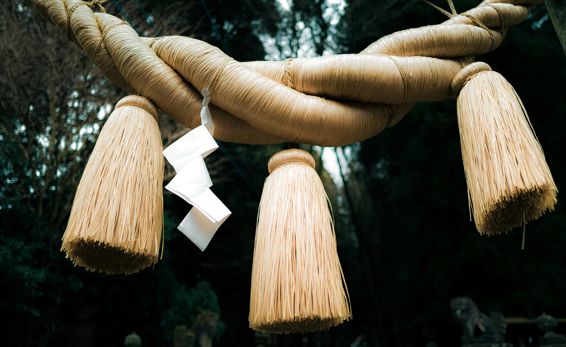 The Sacred Meaning Behind Japan's Shimenawa Ropes | Silverfox Studios